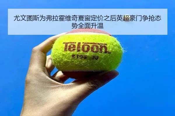 尤文图斯为弗拉霍维奇夏窗定价之后英超豪门争抢态势全面升温