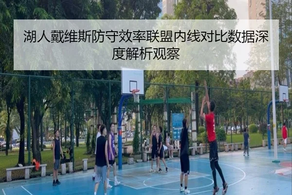 湖人戴维斯防守效率联盟内线对比数据深度解析观察